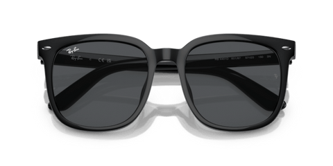 Black - 0RB4401D 8056262281772