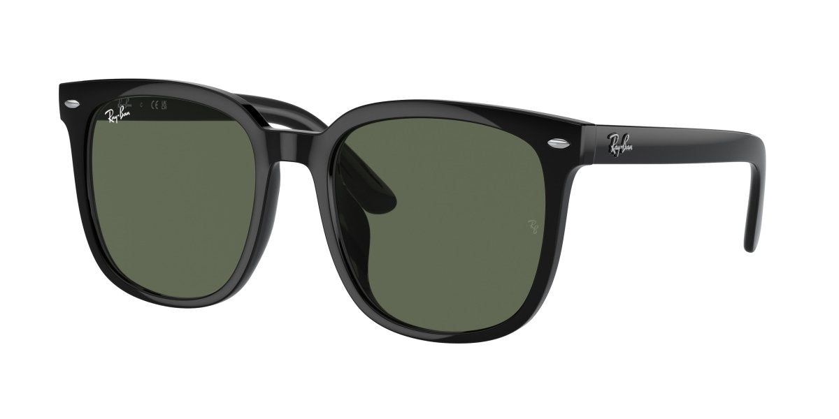 0RB4401D - Ray - Ban - (Black) Dark Green - 55 - 20 - 150 MM - Ardor Eyewear 8056262281734