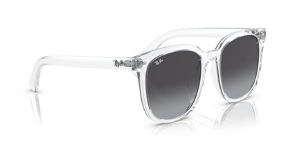 Transparent - 0RB4401D 8056262281796