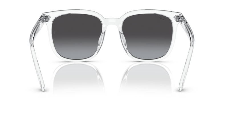 Transparent - 0RB4401D 8056262281796