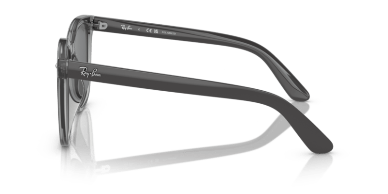 Transparent Grey - 0RB4401D 8056262281789