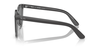 Transparent Grey - 0RB4401D 8056262281789