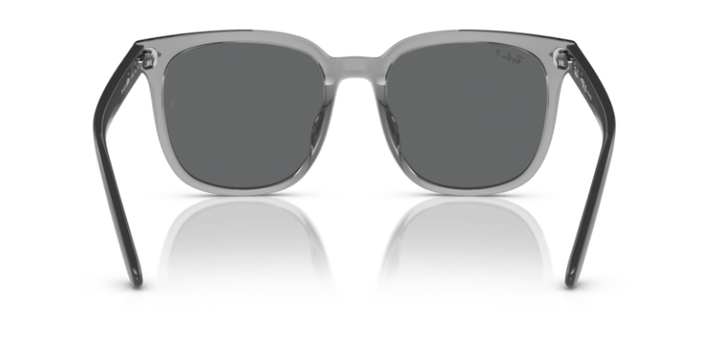 Transparent Grey - 0RB4401D 8056262281789