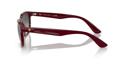 Dark Red - 0RB4404M 8056597853767