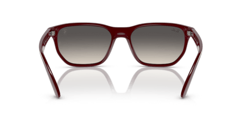Dark Red - 0RB4404M 8056597853767