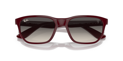 Dark Red - 0RB4404M 8056597853767