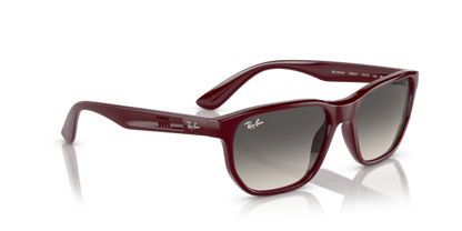 Dark Red - 0RB4404M 8056597853767