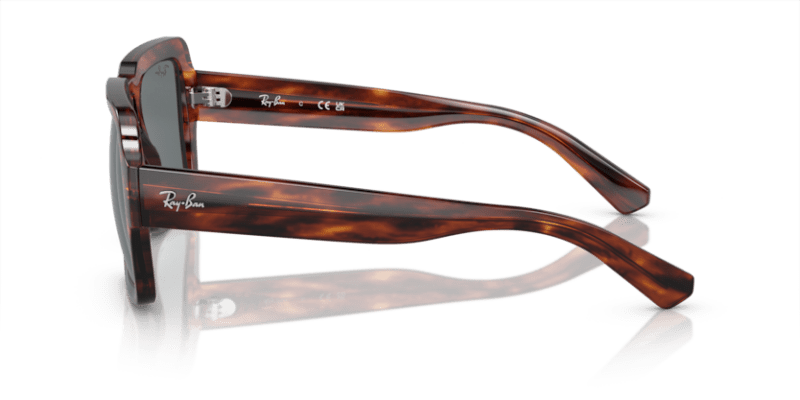 Striped Havana - 0RB4408 8056597936958