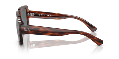 Striped Havana - 0RB4408 8056597936958