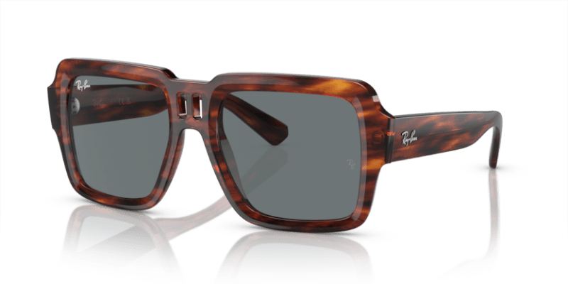 Striped Havana - 0RB4408 8056597936958