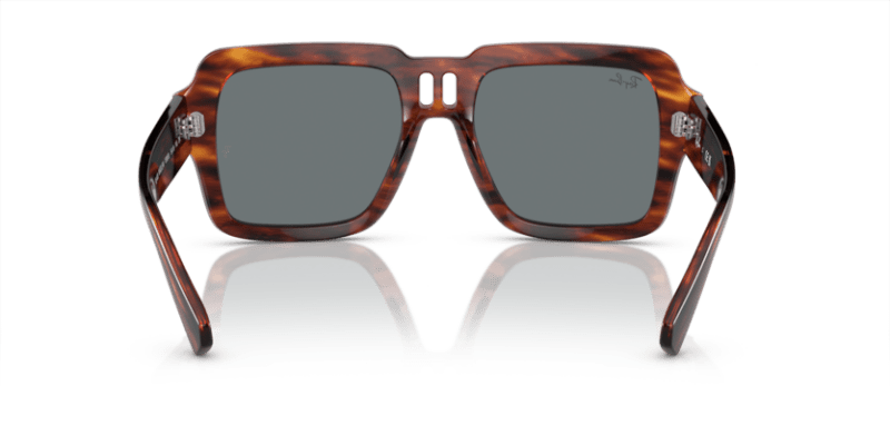 Striped Havana - 0RB4408 8056597936958