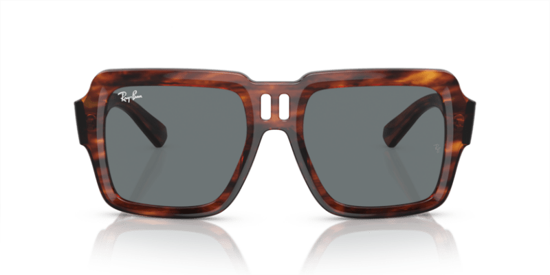 Striped Havana - 0RB4408 8056597936958