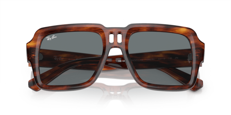 Striped Havana - 0RB4408 8056597936958