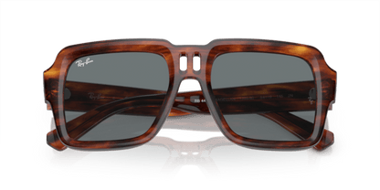 Striped Havana - 0RB4408 8056597936958