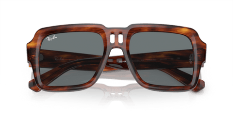 Striped Havana - 0RB4408 8056597936958