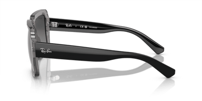 Transparent Grey - 0RB4408 8056597936972