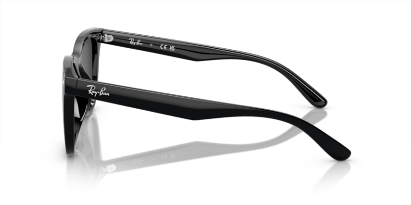 Black - 0RB4420 8056597959339