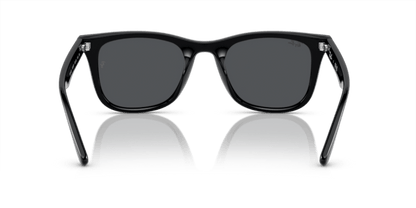 Black - 0RB4420 8056597959339