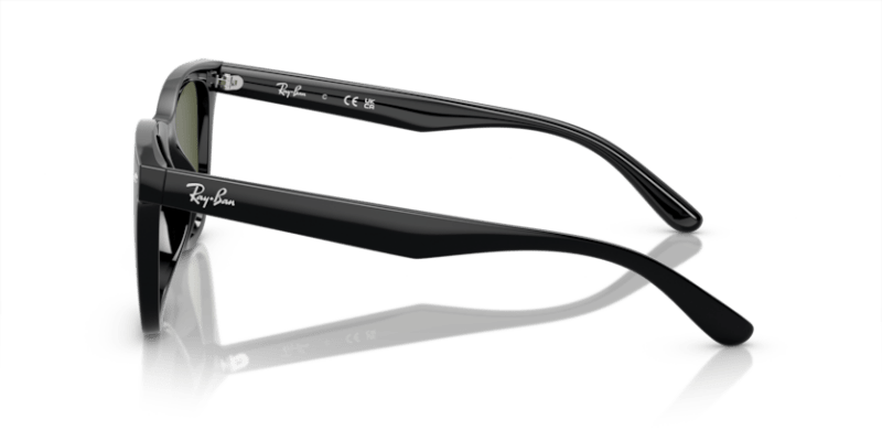 Black - 0RB4420 8056597959346