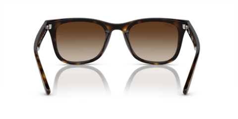 Havana - 0RB4420 8056597959353