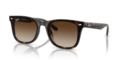 Havana - 0RB4420 8056597959353