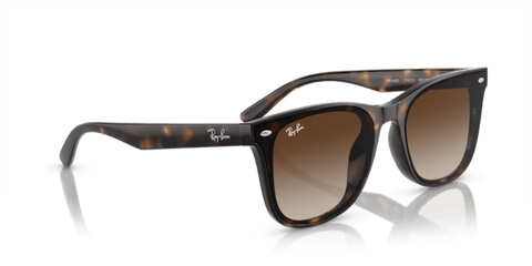 Havana - 0RB4420 8056597959353