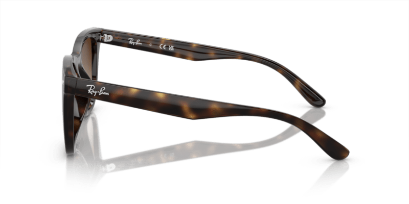 Havana - 0RB4420 8056597959353