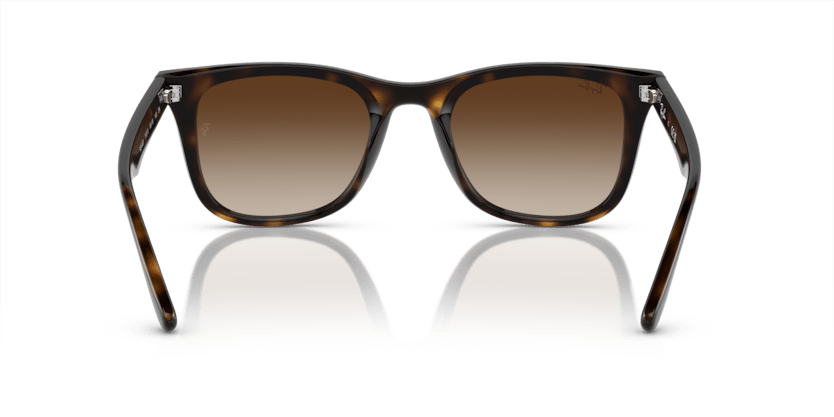 0RB4420 - Ray - Ban - (Havana) Brown - 65 - 18 - 145 MM - Ardor Eyewear 8056597959353