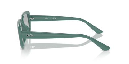 Algae Green - 0RB4421D 8056262080962