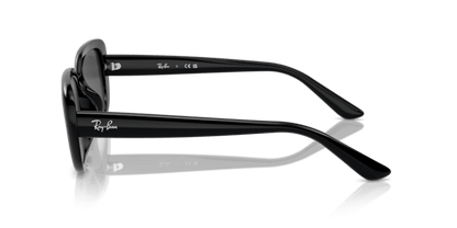 Black - 0RB4421D 8056262080955