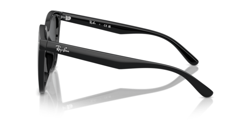 Black - 0RB4423D 8056262051603