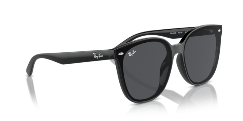 Black - 0RB4423D 8056262051603