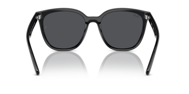 Black - 0RB4423D 8056262051603