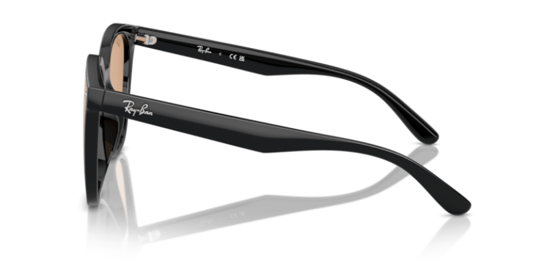 Black - 0RB4423D 8056262051627