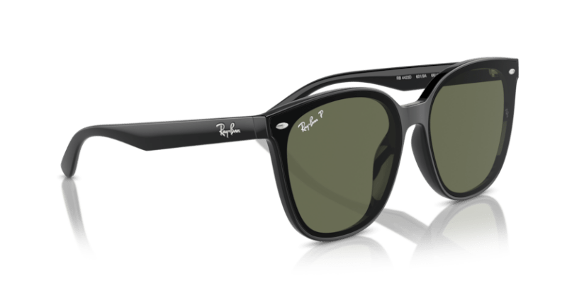 Black - 0RB4423D 8056262051610