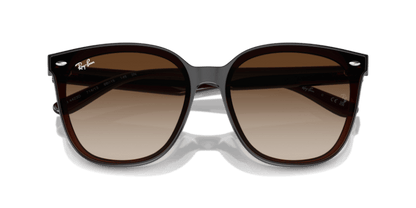 Transparent Brown - 0RB4423D 8056262051641