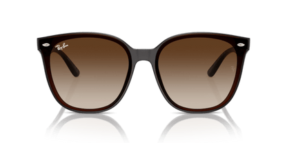 Transparent Brown - 0RB4423D 8056262051641