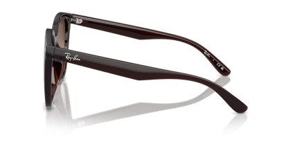 Transparent Brown - 0RB4423D 8056262051641