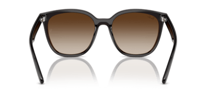 Transparent Brown - 0RB4423D 8056262051641