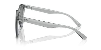 Transparent Grey - 0RB4423D 8056262051634