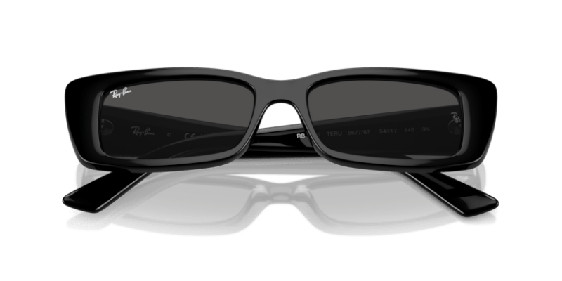 Black - 0RB4425 8056262016787