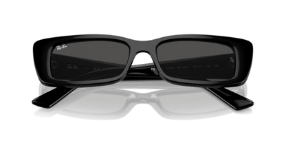 Black - 0RB4425 8056262016787