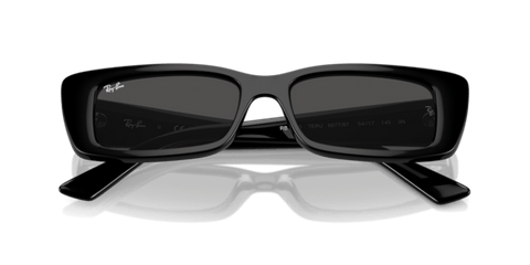 Black - 0RB4425 8056262016787