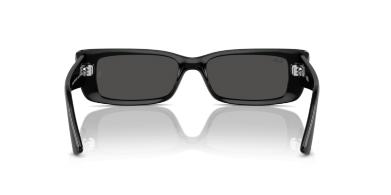 Black - 0RB4425 8056262016787