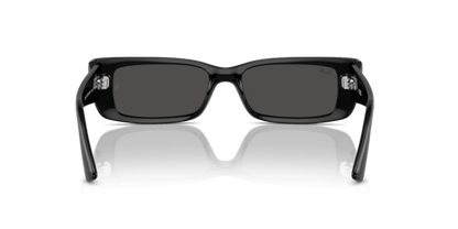 Black - 0RB4425 8056262016787