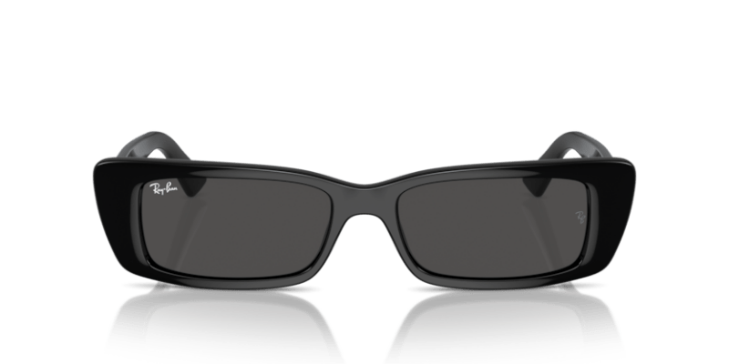 Black - 0RB4425 8056262016787