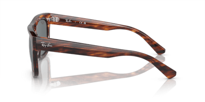 Striped Havana - 0RB4426 8056597963251