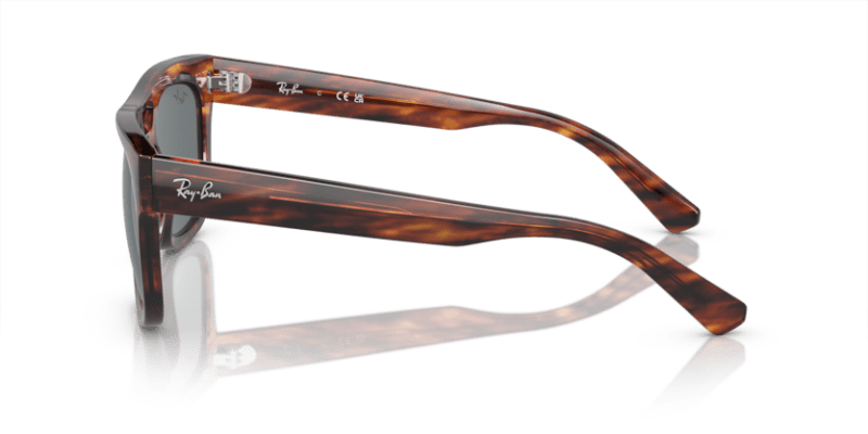 Striped Havana - 0RB4426 8056597963251