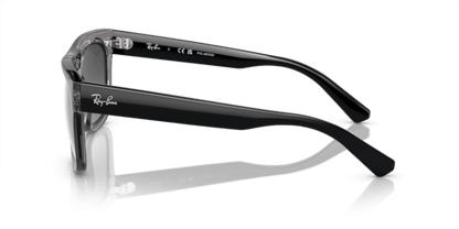 Transparent Grey - 0RB4426 8056597963268