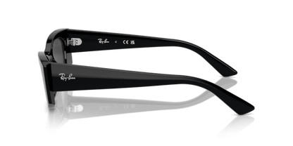 Black - 0RB4427 8056262014479